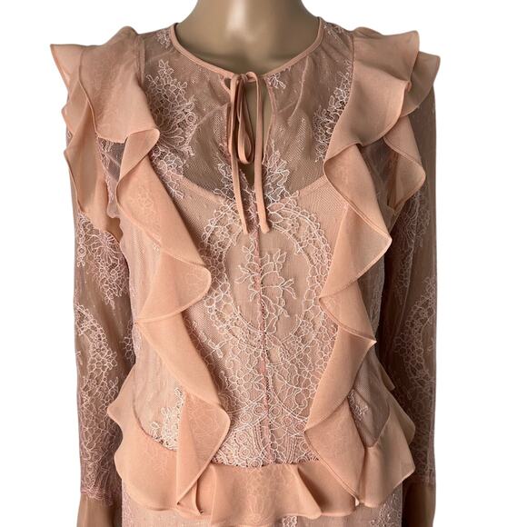 Delfi Collective X Anthropologie Luna Sheer Ruffle Lace Sheath Dress - Picture 5 of 13